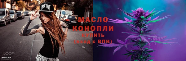 гидра Зеленодольск