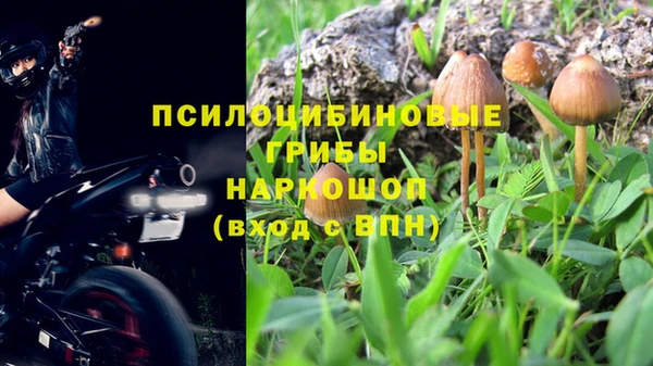 гидра Зеленодольск