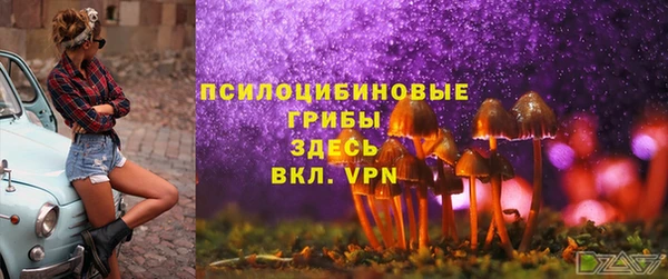 дмт Зеленокумск