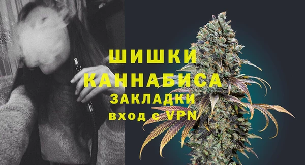 гидра Зеленодольск