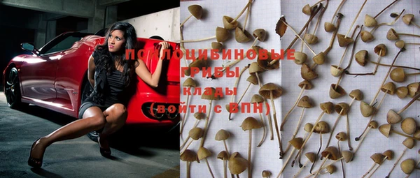 дмт Зеленокумск