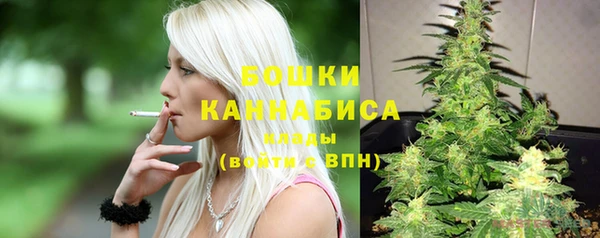 гидра Зеленодольск